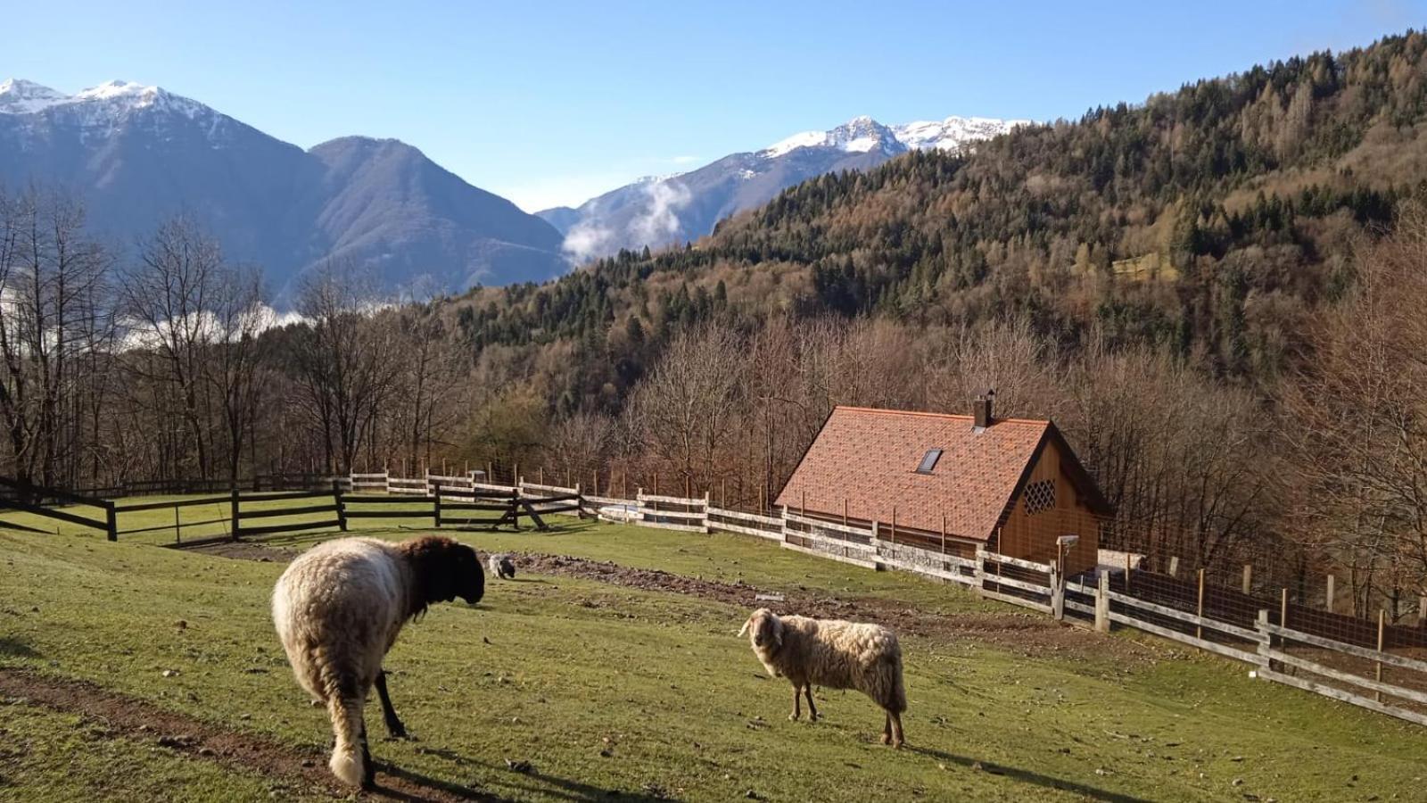 Chalet Navauce Raveo Buitenkant foto
